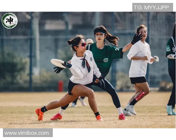 飞盘比赛经验排行榜揭晓广州飞盘队荣获第七名成就斐然